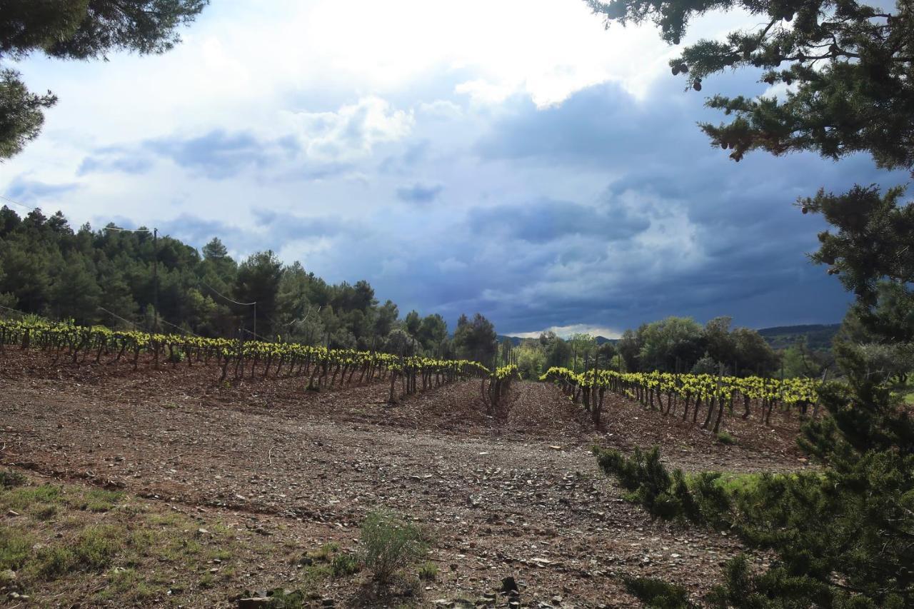 Masia Sagués Poblet Esterno foto