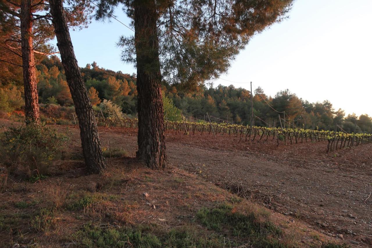 Masia Sagués Poblet Esterno foto