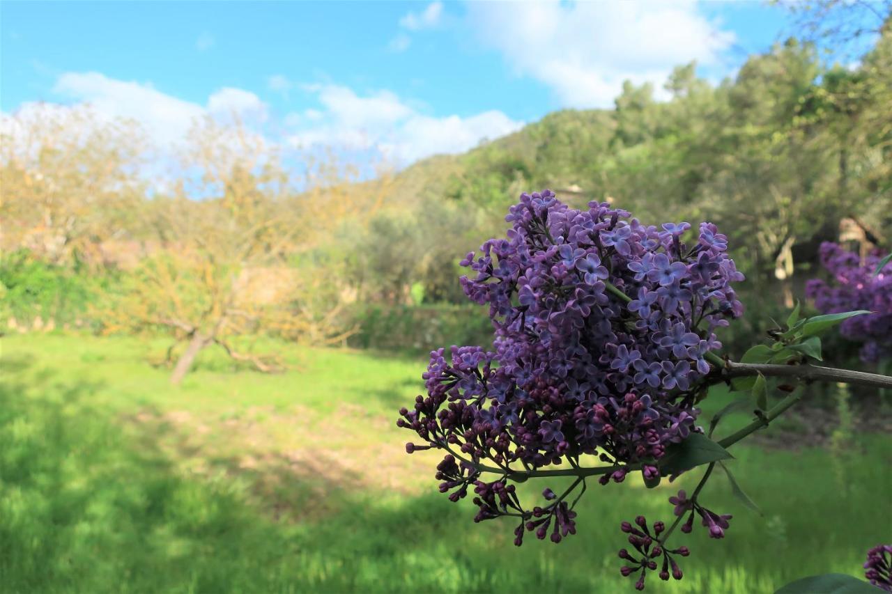 Masia Sagués Poblet Esterno foto
