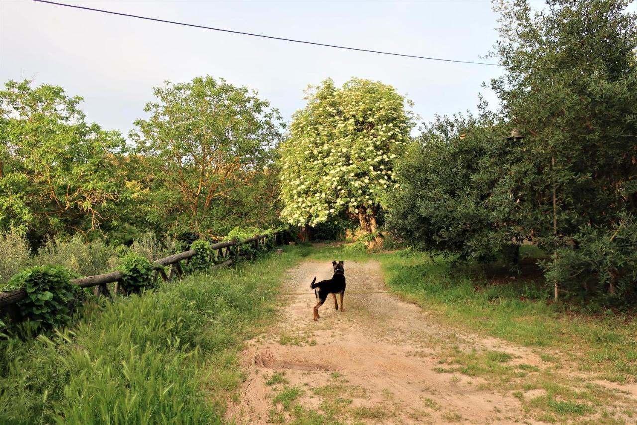 Masia Sagués Poblet Esterno foto