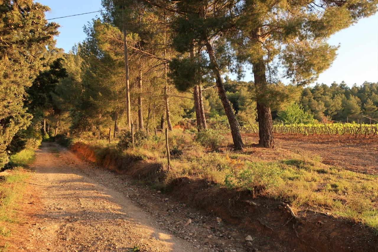 Masia Sagués Poblet Esterno foto