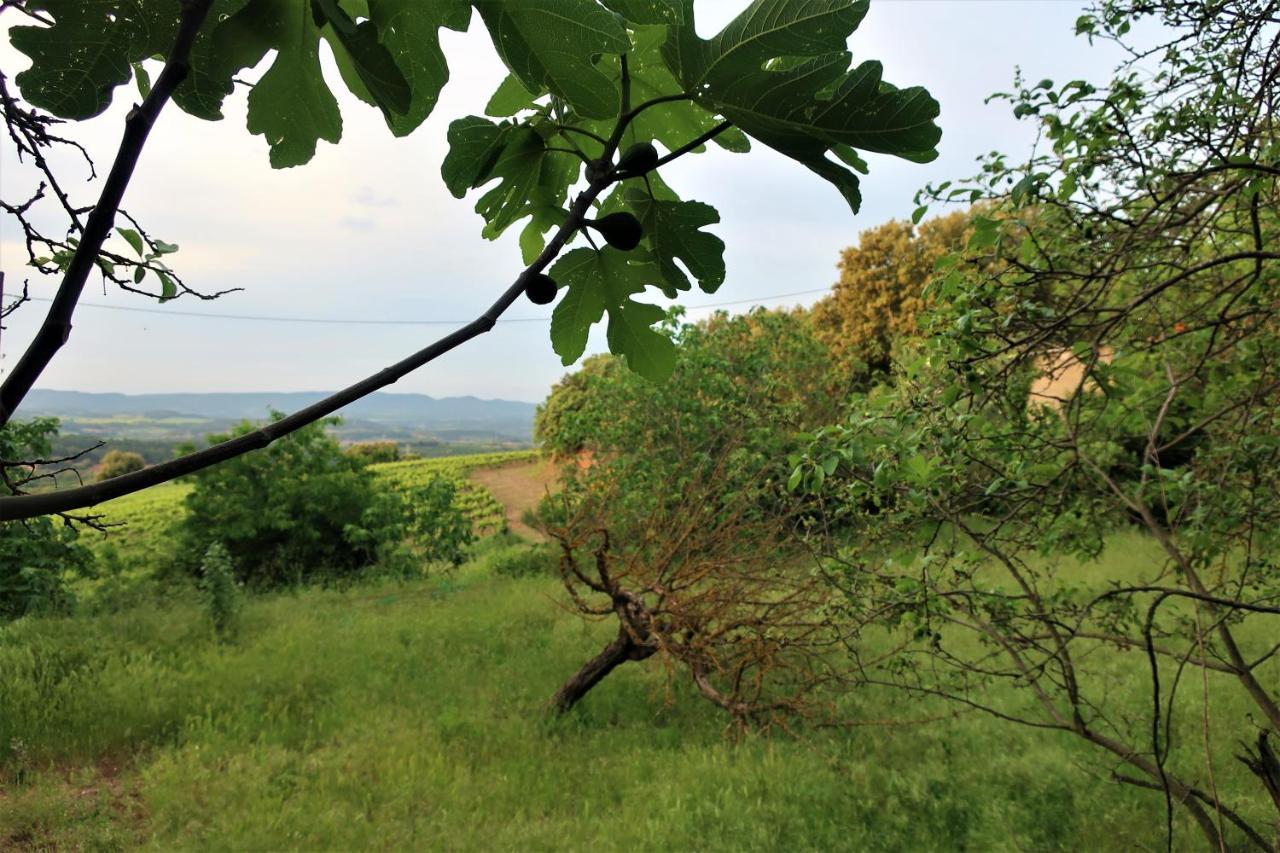 Masia Sagués Poblet Esterno foto